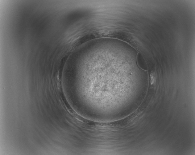 X0000062611011200512281458