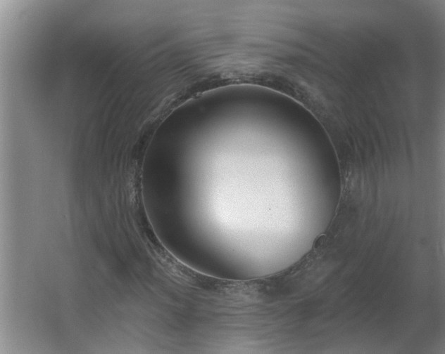 X0000062611012200512281458