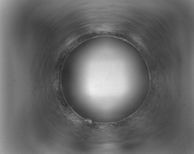 X0000062611015200512281458