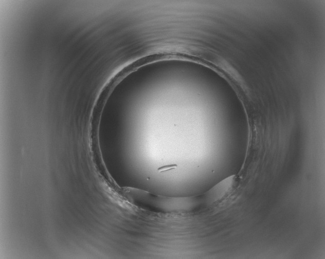 X0000062611020200512281458