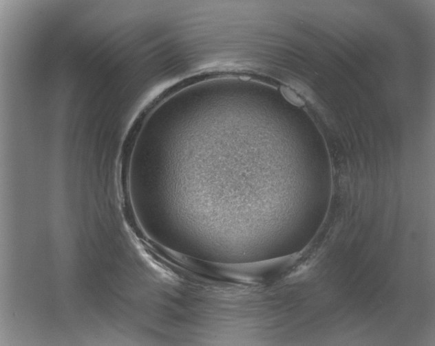 X0000062611030200512281458