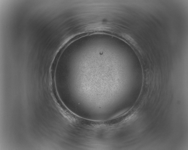 X0000062611031200512281458