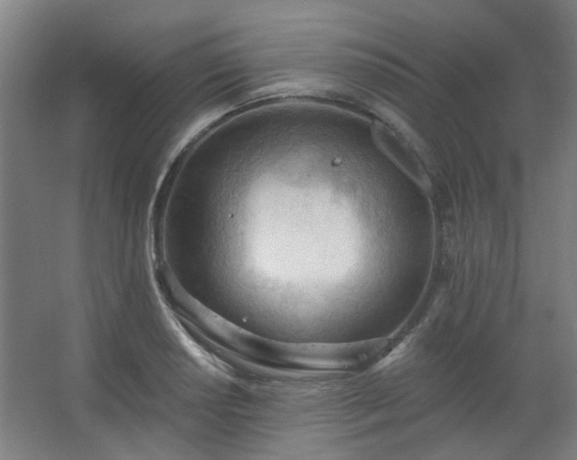 X0000062611034200512281458