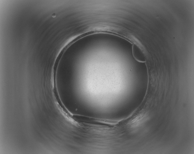 X0000062611036200512281458