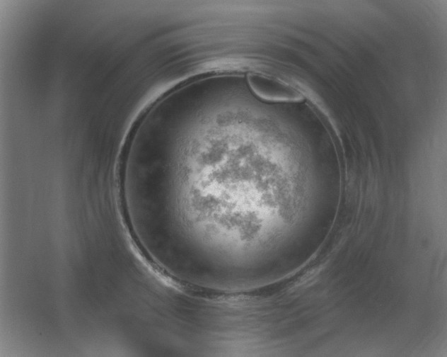 X0000062611045200512281458