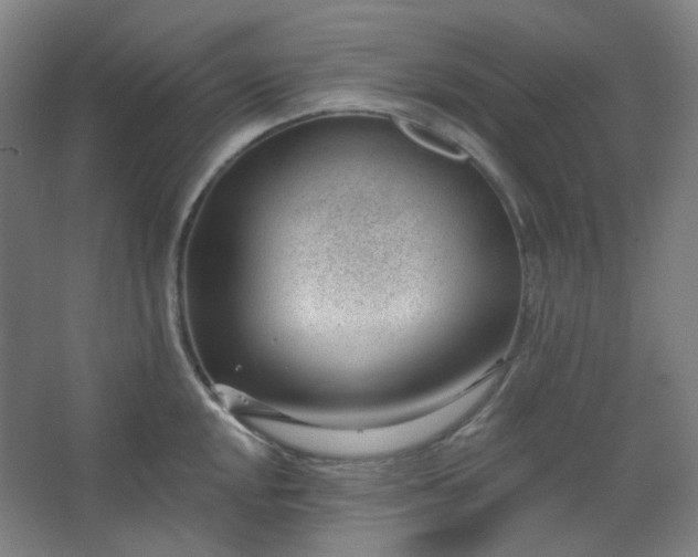 X0000062611048200512281458