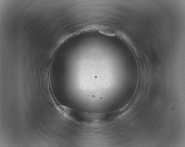 X0000062611049200512281458