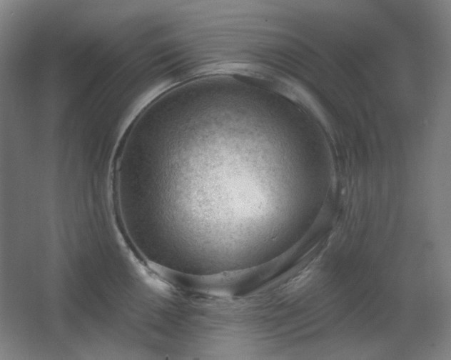 X0000062611050200512281458