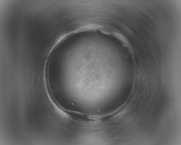 X0000062611055200512281458