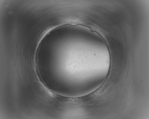 X0000062611056200512281458