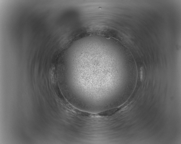 X0000062611059200512281458