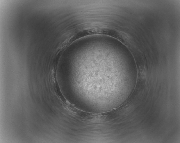 X0000062611060200512281458