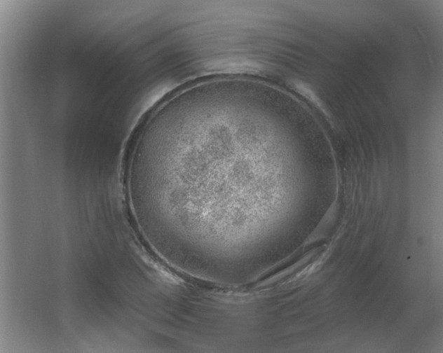 X0000062611071200512281457