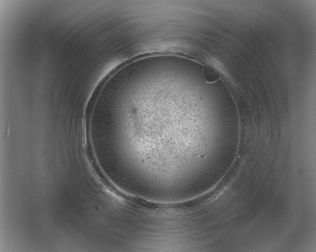 X0000062611079200512281457