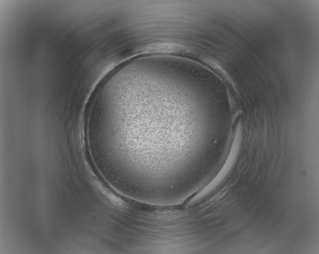 X0000062611083200512281457