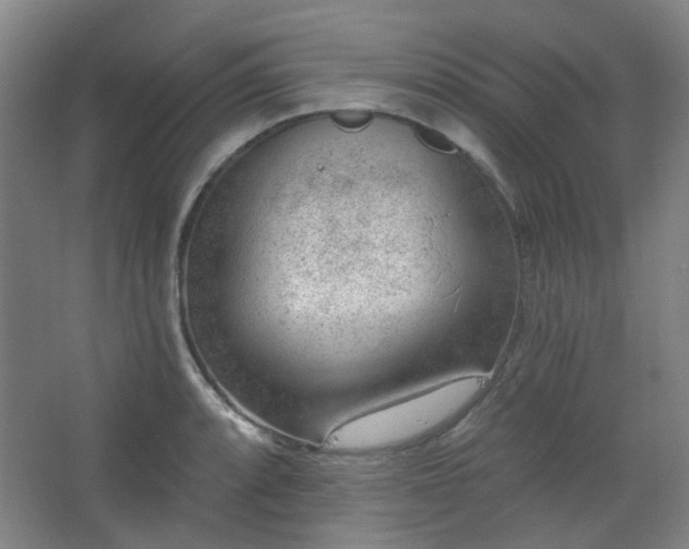 X0000062611088200512281457