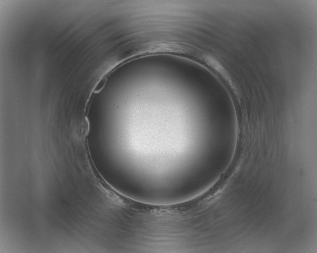 X0000062611089200512281457