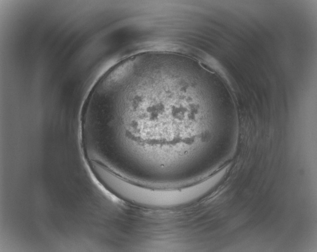 X0000062611095200512281457