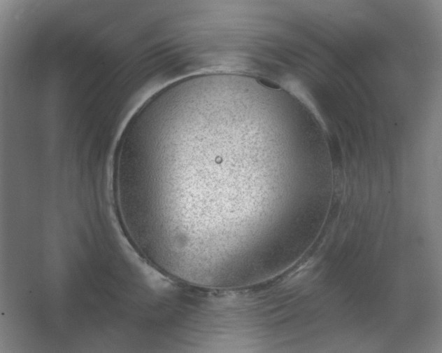 X0000062611099200512281457