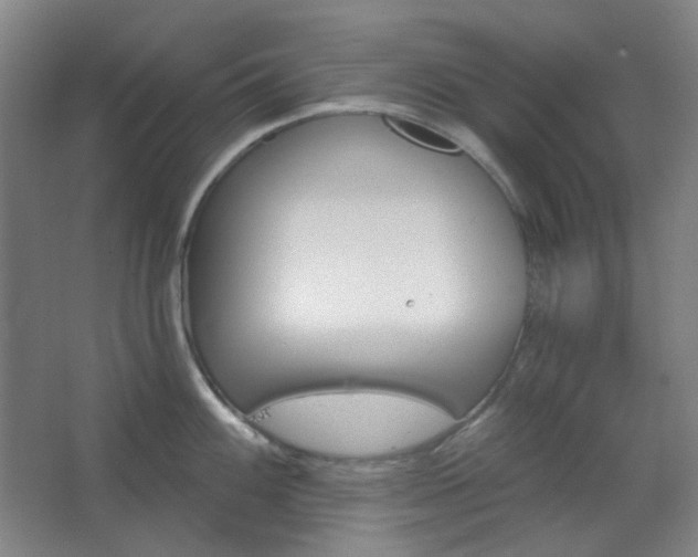 X0000062611100200512281457