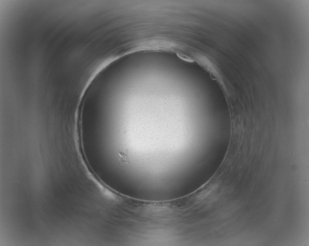 X0000062611103200512281457