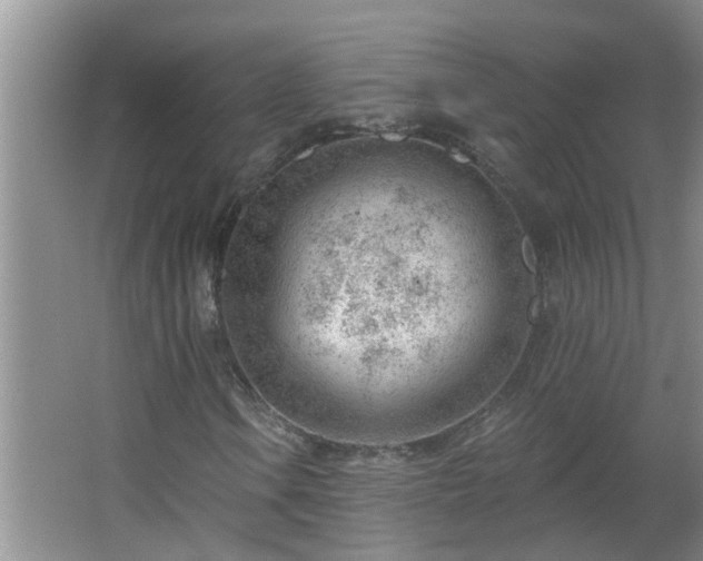 X0000062611106200512281456