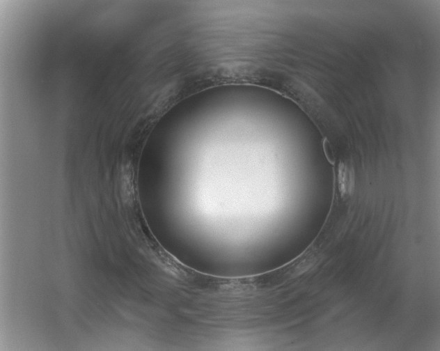 X0000062611107200512281456