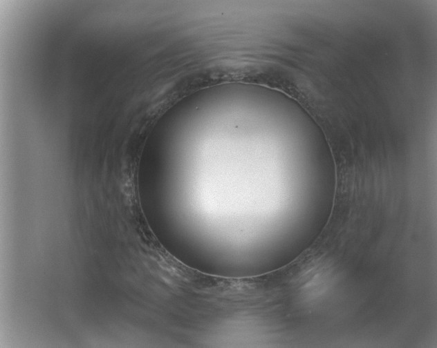 X0000062611109200512281456