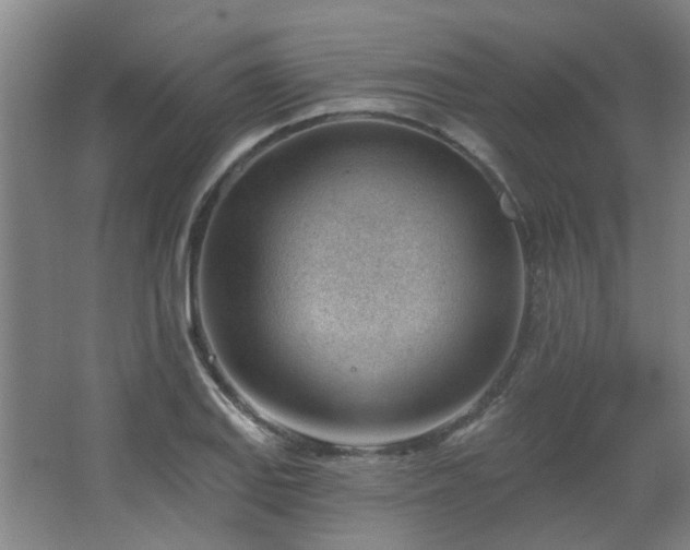 X0000062611127200512281456