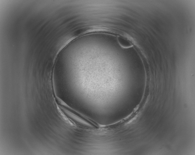 X0000062611137200512281457