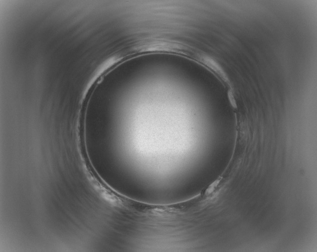 X0000062611138200512281457