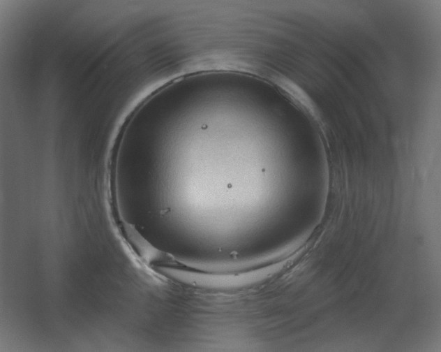 X0000062611144200512281457