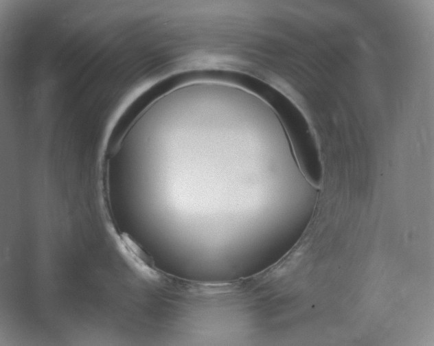 X0000062611152200512281457