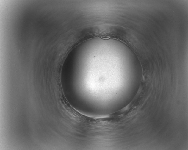 X0000062611153200512281456