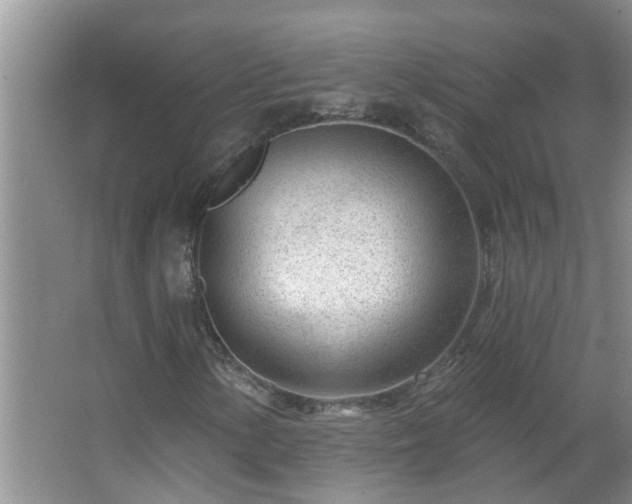 X0000062611154200512281456