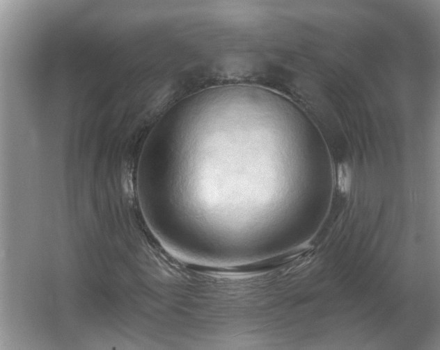 X0000062611155200512281456