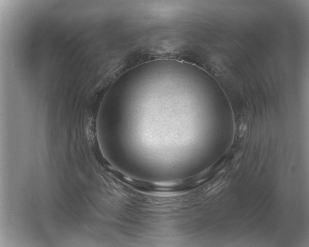 X0000062611156200512281456