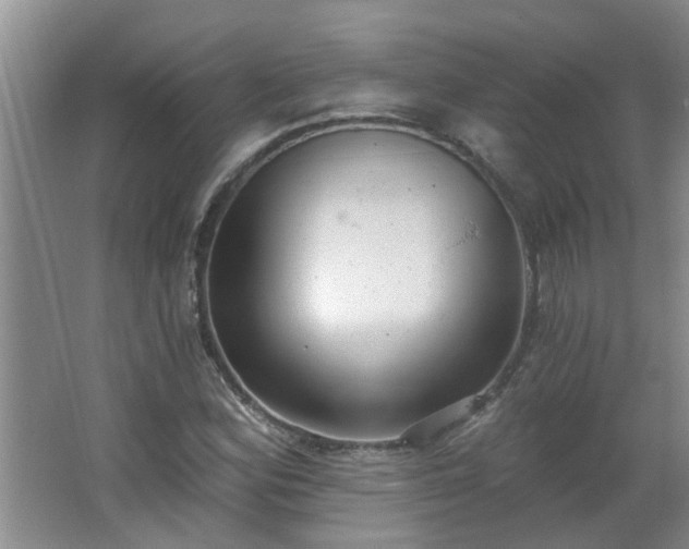 X0000062611164200512281456