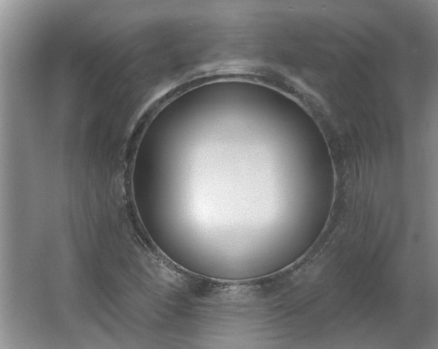 X0000062611166200512281456