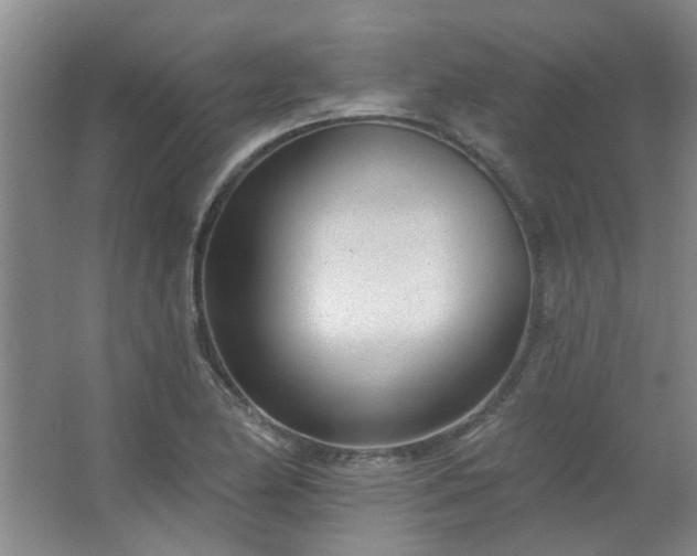 X0000062611174200512281456