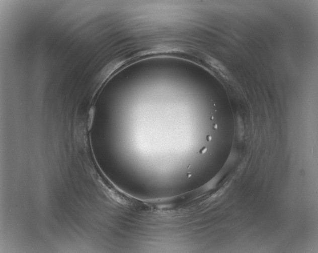 X0000062611177200512281456