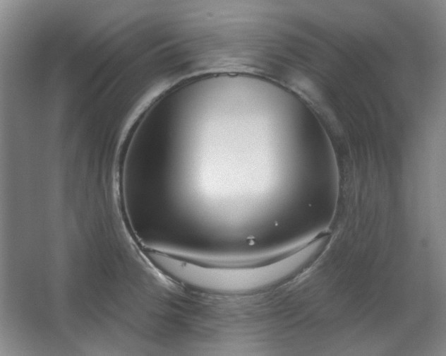 X0000062611188200512281455