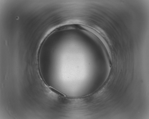 X0000062611192200512281455