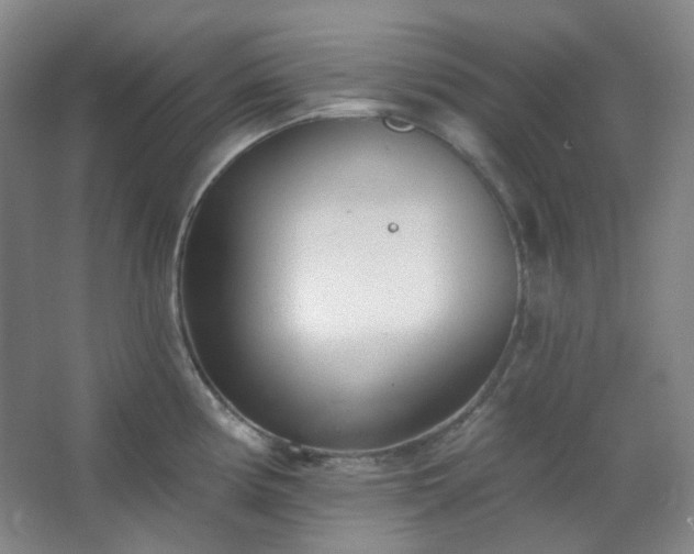 X0000062611194200512281455