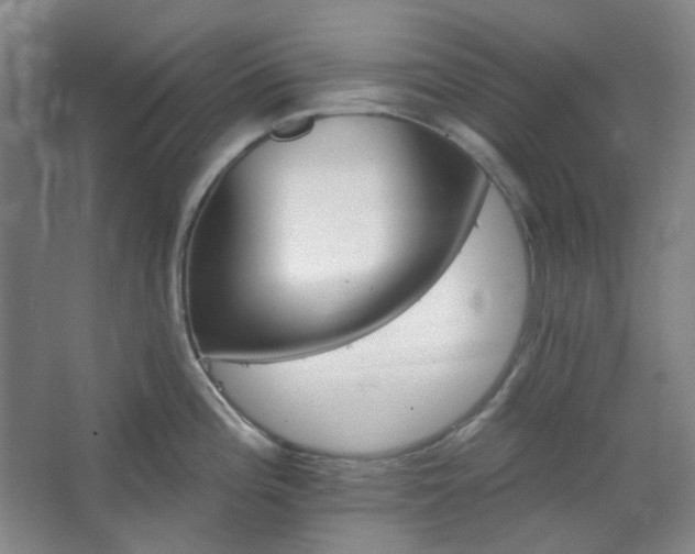 X0000062611196200512281455