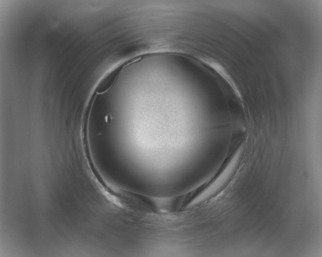 X0000062611197200512281455