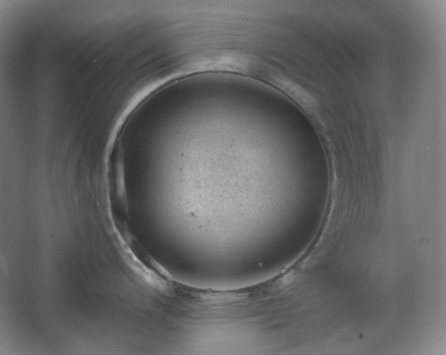 X0000062611200200512281455