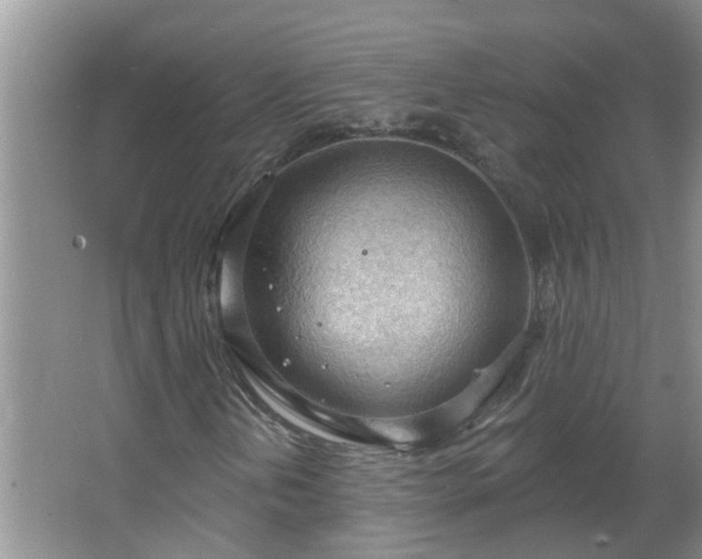 X0000062611202200512281454