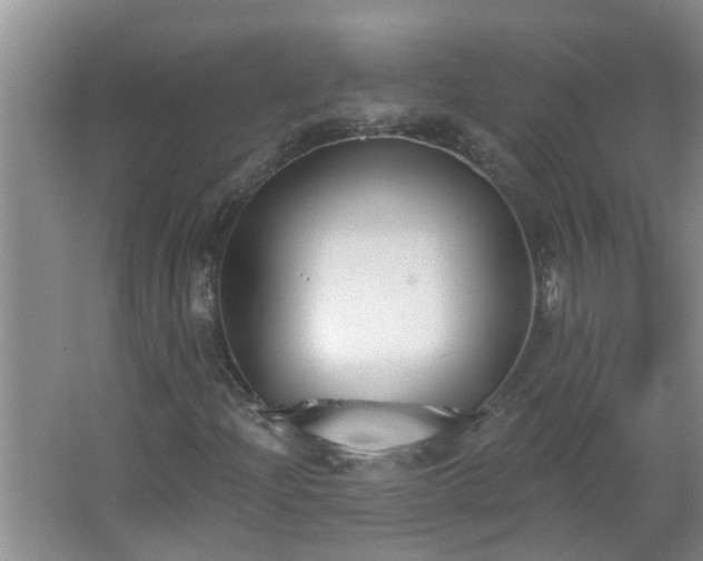 X0000062611204200512281454