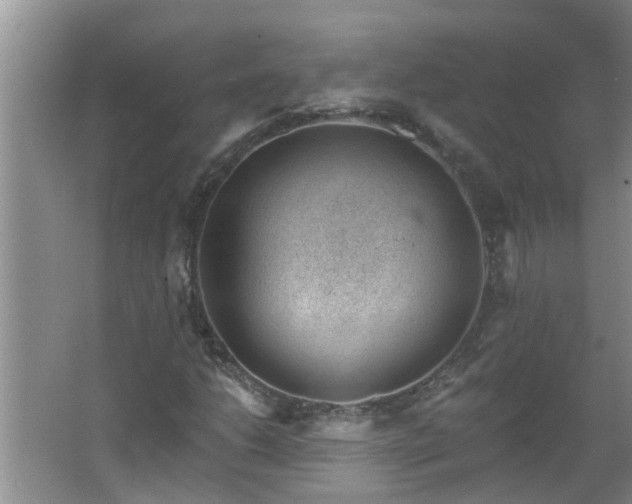 X0000062611206200512281454